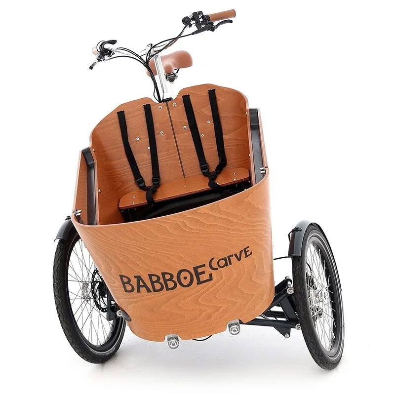 VELO CARGO BABBOE CARVE MOUNTAIN 4 VELO CARGO BABBOE CARVE MOUNTAIN – Image 2